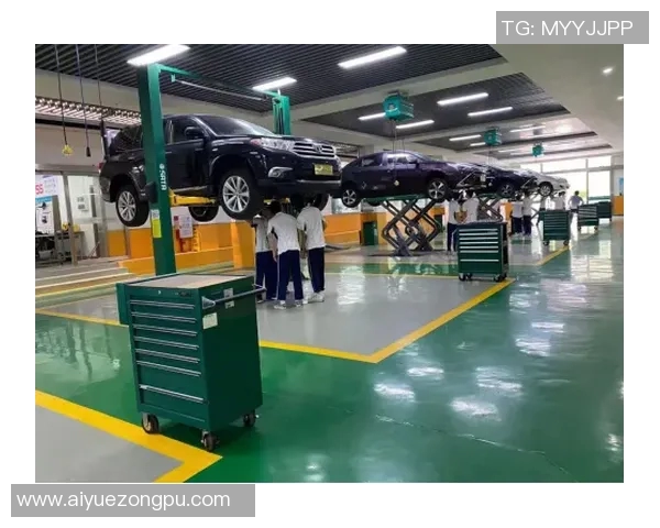 广州飞盘队个人能力分析与团队协作的深度探讨 广州飞盘队个人能力分析与团队协作的深度探讨