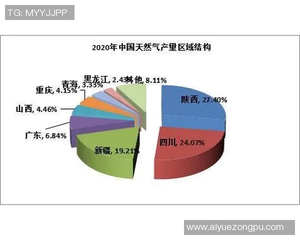 杭州飞盘队运营策略深度解析与发展前景展望